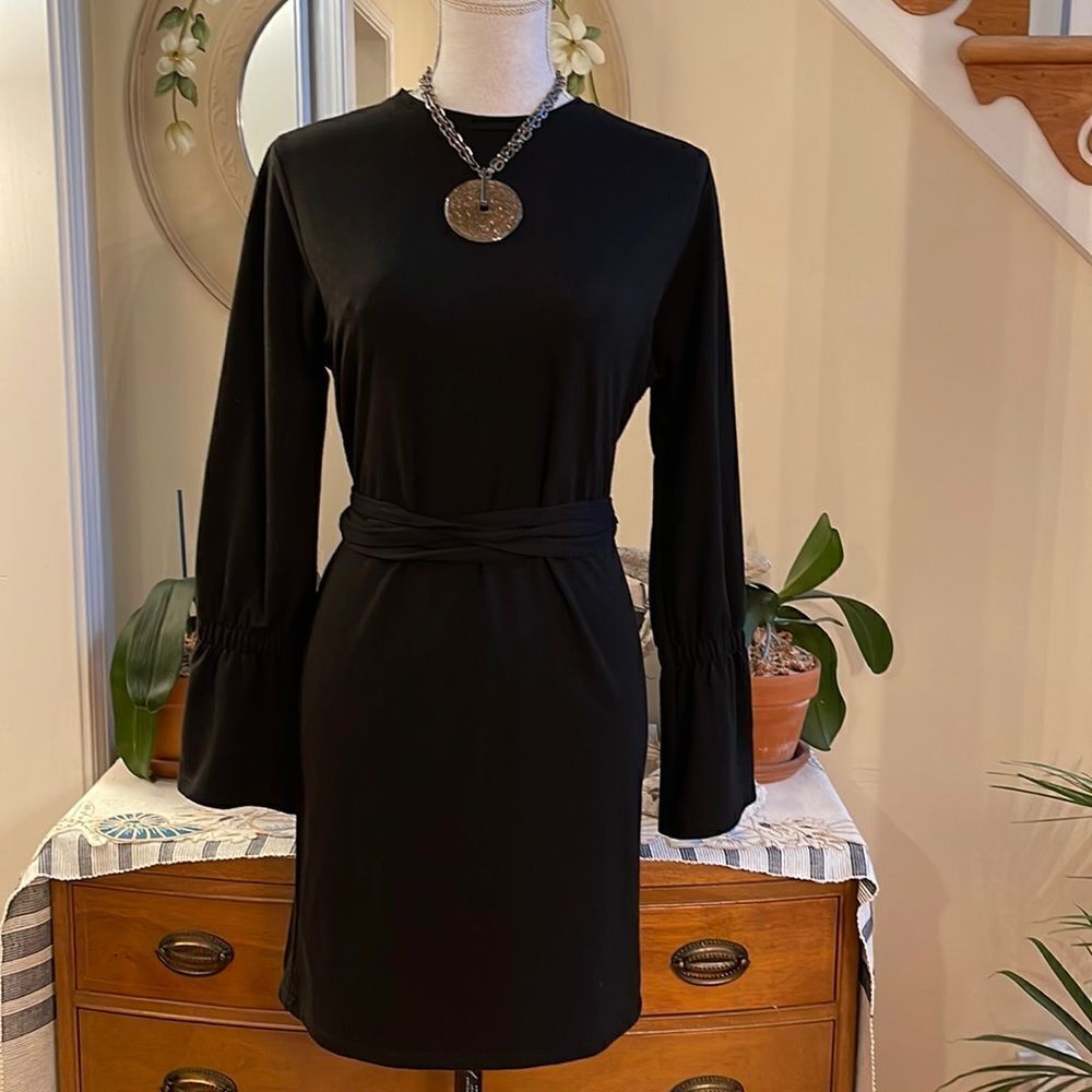 ZARA Wrap Belt Dress
